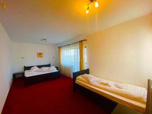 a room with two beds and a red carpet at Pensiunea Soarelui in Fundata