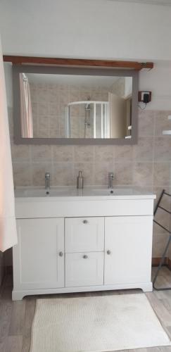 ein Badezimmer mit einem weißen Waschbecken und einem Spiegel in der Unterkunft Pied à Terre Chaumont in Chaumont