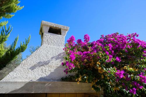 Κήπος έξω από το GREEN PARADISE PALAIA FoKAIA