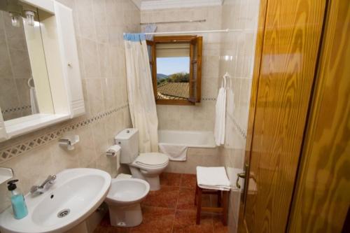 a bathroom with a sink and a toilet and a mirror at El Almendral in El Bosque