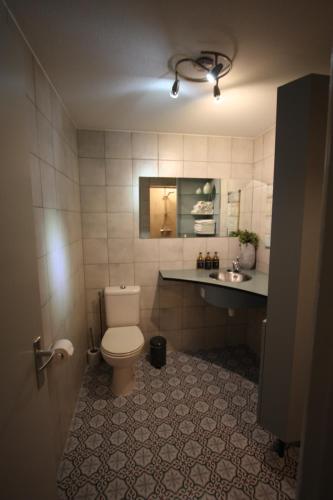 uma casa de banho com um WC e um lavatório em 4 persoons appartement - ook te boeken voor 6 personen! em Bakkeveen