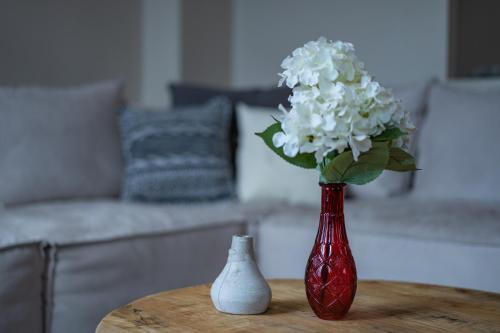 a red vase with white flowers on a table at Gems of Pinakates in Pinakátai
