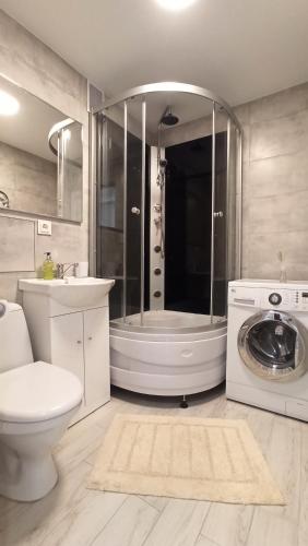 a bathroom with a shower and a toilet and a washing machine at Monica Apartments in Panevėžys