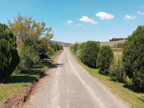 a dirt road with trees on either side at Casa de campo Recanto das Borboletas in Bom Retiro