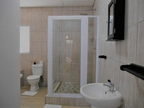 a bathroom with a shower with a sink and a toilet at Oakwood Lodge in Bloemfontein