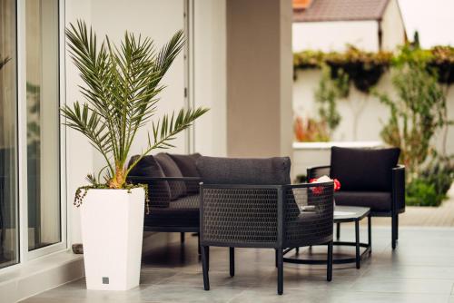 a patio with chairs and a potted plant on a porch at Veronika Home Tbilisi in Tbilisi City