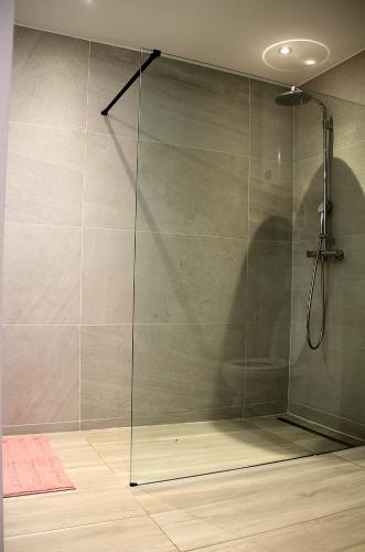 a shower with a glass door in a bathroom at Appart Aldyis in Sprimont