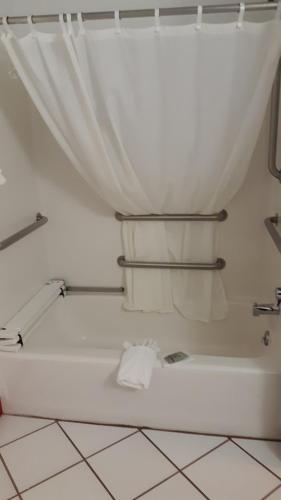 a bathroom with a tub with a shower curtain at Pleasant Moose Lodge in Newberry