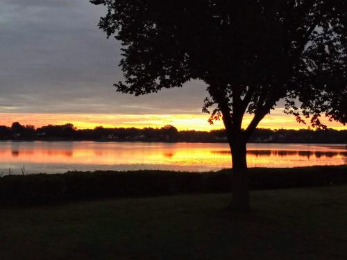 a tree in front of a lake at sunset at Lakeside Inn in Wakefield