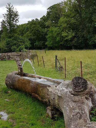 a water fountain in a tree stump in a field at la grange aux oiseaux in Arnaville