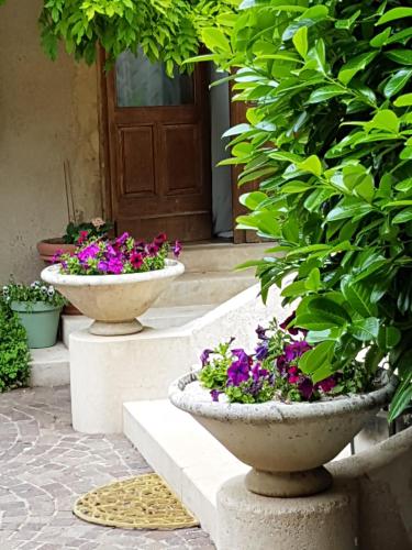 two stone vases filled with flowers in front of a door at la grange aux oiseaux in Arnaville