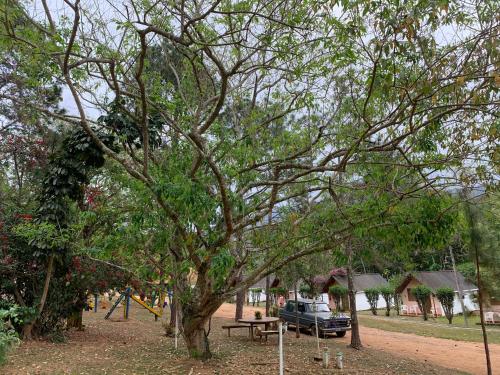 a tree with a picnic table and a car in a park at Pousada & Camping Serras Verdes in Conservatória