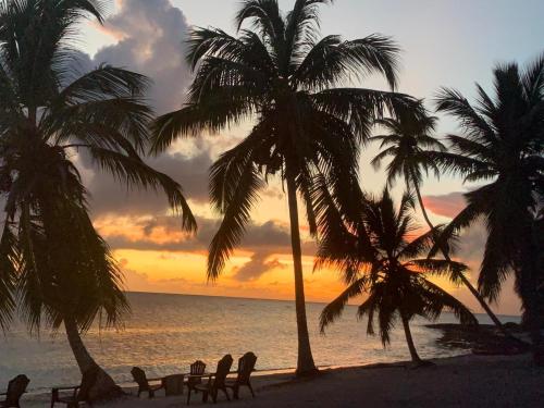 a sunset on a beach with palm trees and chairs at Casa Rural El Paraíso de Saona in Mano Juan