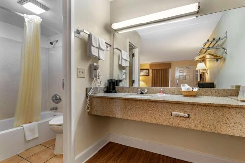 a bathroom with a sink and a toilet at Econo Lodge Inn & Suites in Lugoff