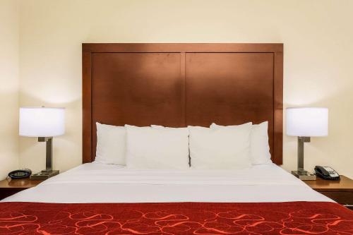Comfort Suites DFW N-Grapevine في جريبفاين: غرفة نوم بسرير كبير فيها مصباحين