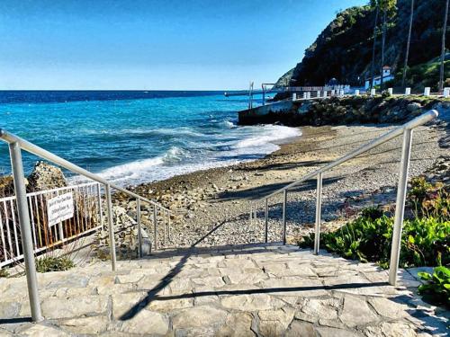 a staircase leading down to a beach with the ocean at Hamilton Cove-Boho Chic Villa w/Golf Cart...No pets. in Avalon