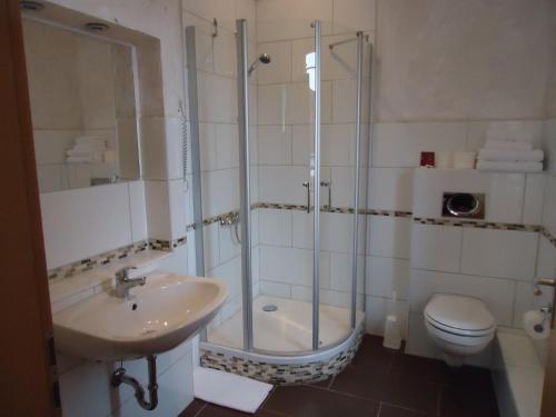 La salle de bains est pourvue d'une douche, d'un lavabo et de toilettes. dans l'établissement Hotel Mediterraneo, à Neustadt an der Weinstraße