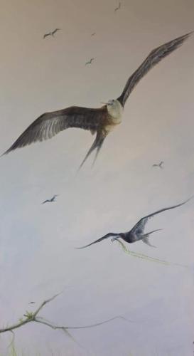 two birds are flying in the water at Bungalows Rupay Wasi in Los Órganos
