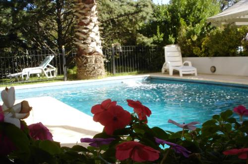 a swimming pool with two chairs and flowers at Las Araucarias in Pinamar