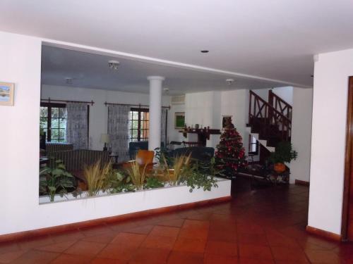 a living room with a christmas tree in the middle at Las Araucarias in Pinamar