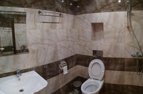 La salle de bains est pourvue de toilettes et d'un lavabo. dans l'établissement Стаи за гости Праматарови Огняново, à Ognyanovo