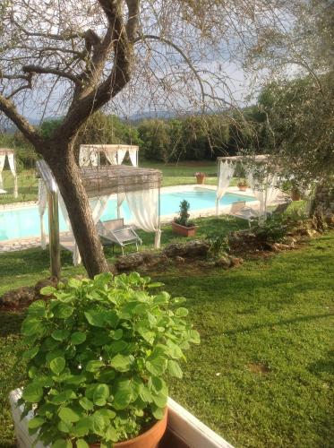 un cortile con piscina, albero e pianta di La Canonica Di San Michele a Monteriggioni