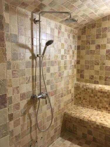 une salle de bain avec une douche avec pommeau de douche dans l'établissement L'hommage, à Sarlat-la-Canéda