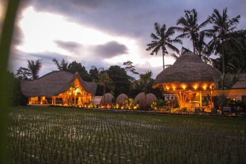 a resort with a rice field in front of it at Keliki Luxury Lodge in Ubud