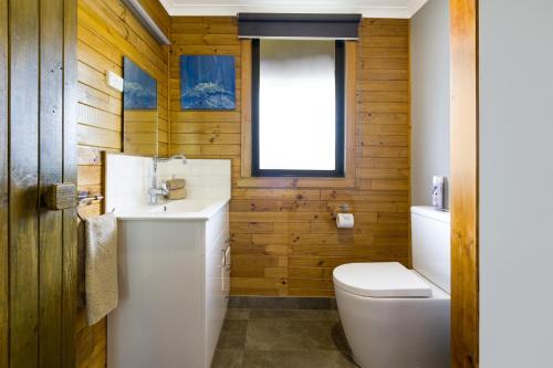 a bathroom with a toilet and a sink and a window at Mole Creek Cabins in Mole Creek