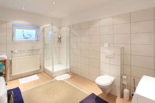 a bathroom with a toilet and a shower and a sink at Eifel Relax in Hillesheim