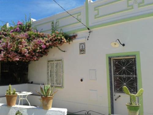 a white building with potted plants and a door at Casa Da Cabeça in Faro