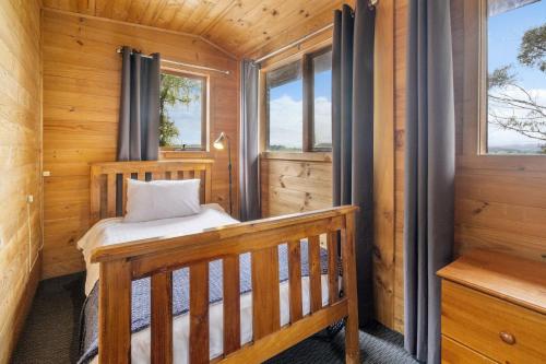 a wooden cabin with a bed in a room with windows at Mole Creek Cabins in Mole Creek