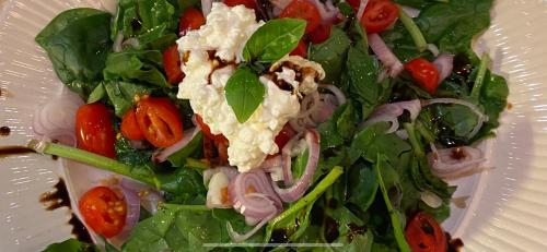 a salad with lettuce and tomatoes on a plate at De Tuinkamer-----Privé diner op de kamer mogelijk!!! in Hoogeveen