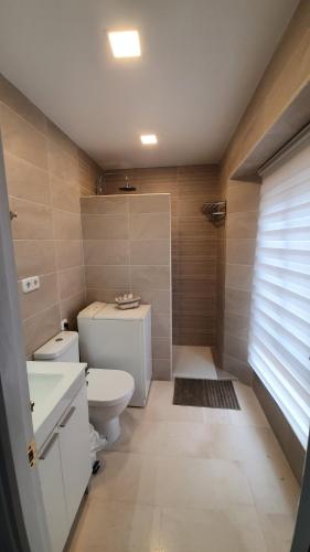 La salle de bains est pourvue de toilettes et d'un lavabo. dans l'établissement Encantador apartamento en el corazón de Sevilla, à Séville