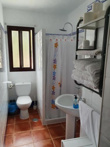 a bathroom with a toilet and a sink and a shower at Apartamentos Rurales Sierra Alta in Benaocaz