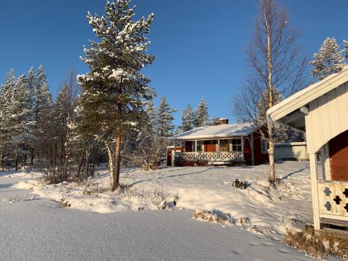 Wilderness in off-grid cabin in Lapland durante o inverno