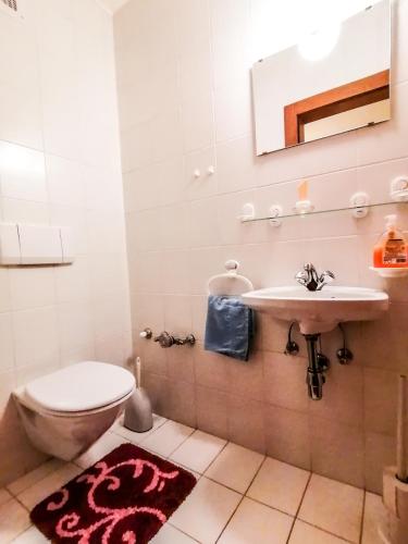 a bathroom with a toilet and a sink at Haus am Römerbad in Bad Kleinkirchheim