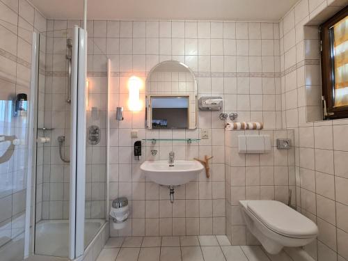 a bathroom with a sink and a toilet and a shower at Hotel Goldenes Fass in Freudenberg am Main