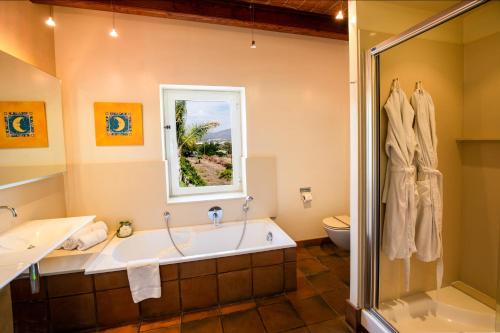a bathroom with a tub and a shower and a window at Tancat de Codorniu in Les Cases d'Alcanar
