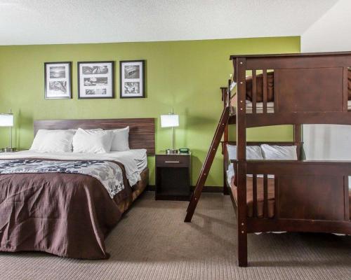Postel nebo postele na pokoji v ubytování Sleep Inn & Suites Near I-90 and Ashtabula