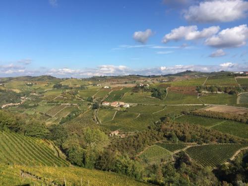 an aerial view of a vineyard in the hills at Agriturismo Finestre di Langa in Trezzo Tinella