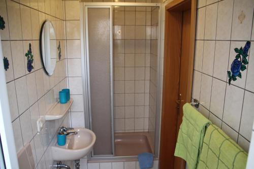 ein Bad mit einem Waschbecken und einer Dusche in der Unterkunft Pension & Ferienwohnung Breitmoser Angelika in Riedenburg