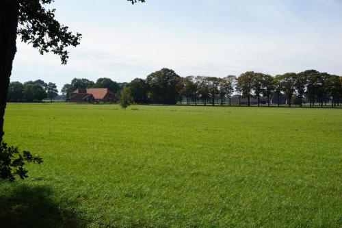 a field of green grass with a house in the distance at Saksisch Boerderijtje in Eibergen
