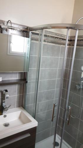 a bathroom with a shower and a sink at Mistral Appartements in Saint-Louis-du-Rhône