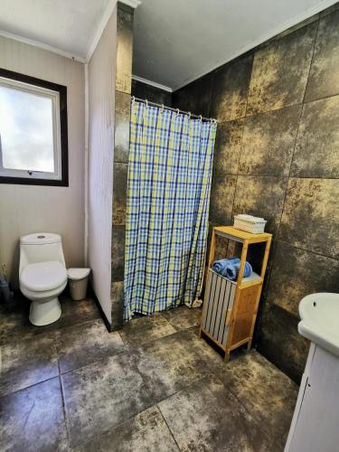 a bathroom with a toilet and a shower at Cabañas & Hostal Dos Rios in Malalcahuello
