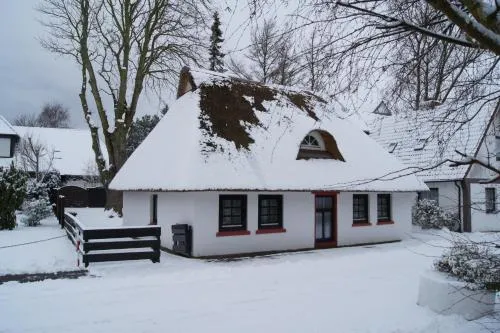 Holiday Homes Buchholz photo 3
