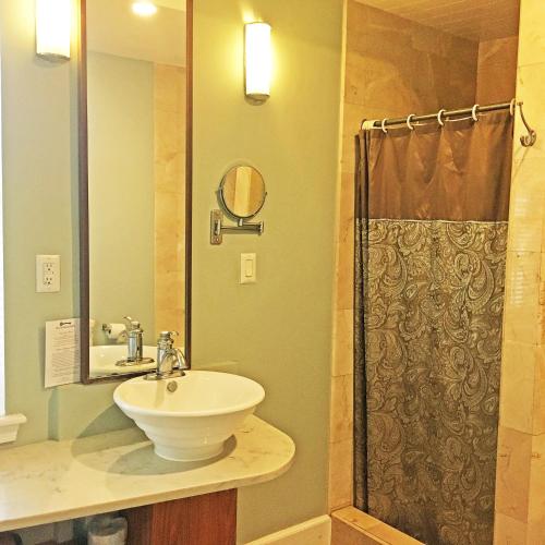 a bathroom with a sink and a shower at Morris House Hotel in Philadelphia