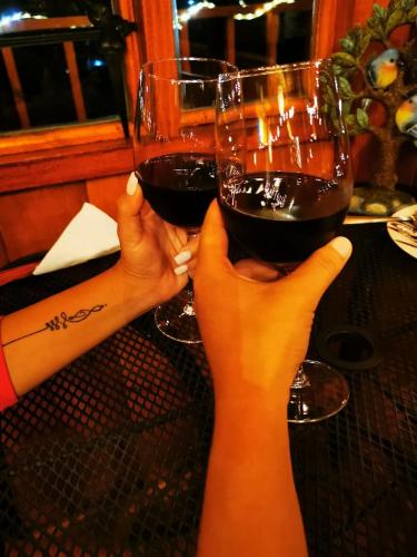 a person holding up two glasses of red wine at Villarreal Lodge Hotel Ecológico in Totolapan