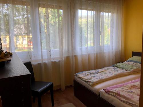 パラッドにあるÓhuta Nyaralóのベッドルーム1室(ベッド1台、デスク、窓付)