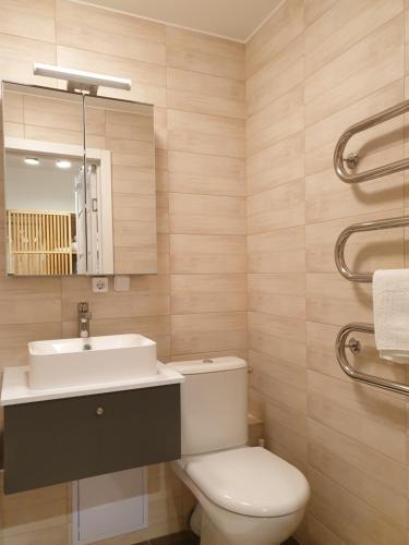 ein Badezimmer mit einem WC, einem Waschbecken und einem Spiegel in der Unterkunft Sun apartments in Anykščiai